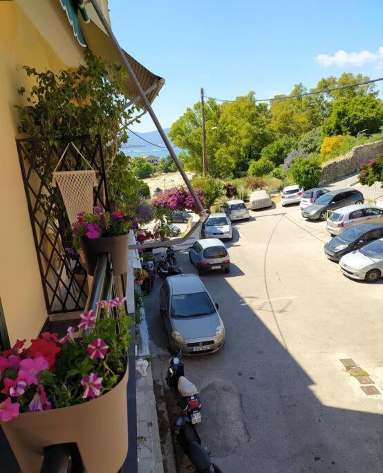 Xenofon'S Cozy Apartment Corfu  Zewnętrze zdjęcie