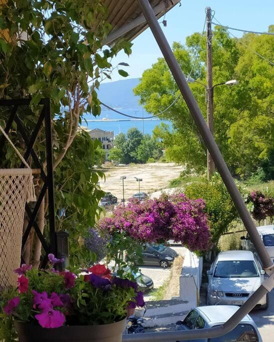 Xenofon'S Cozy Apartment Corfu  Zewnętrze zdjęcie